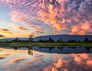 球迷关注法国联赛交易市场，球员身价节节攀升