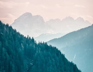 水晶宫主场作战，期待保持连胜